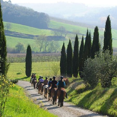 Castello Di Fulignano Isalfredo Ground Floor Apartment San Gimignano Ngoại thất bức ảnh